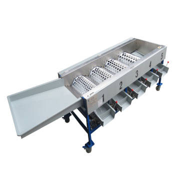 Citrus fruit sorting machine