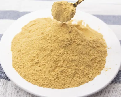 Seabuckthorn Powder seabuckthorn extract