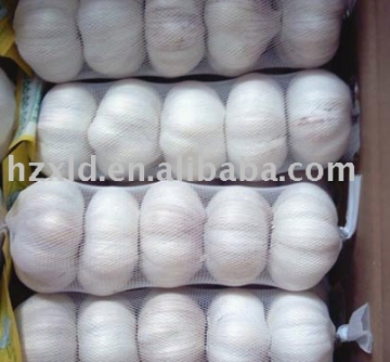 garlic with 500g package