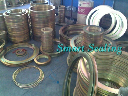 Guide Ring for Spiral Wound Gasket (SMT-212)
