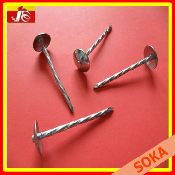 umbrella head roofing nails(factory)