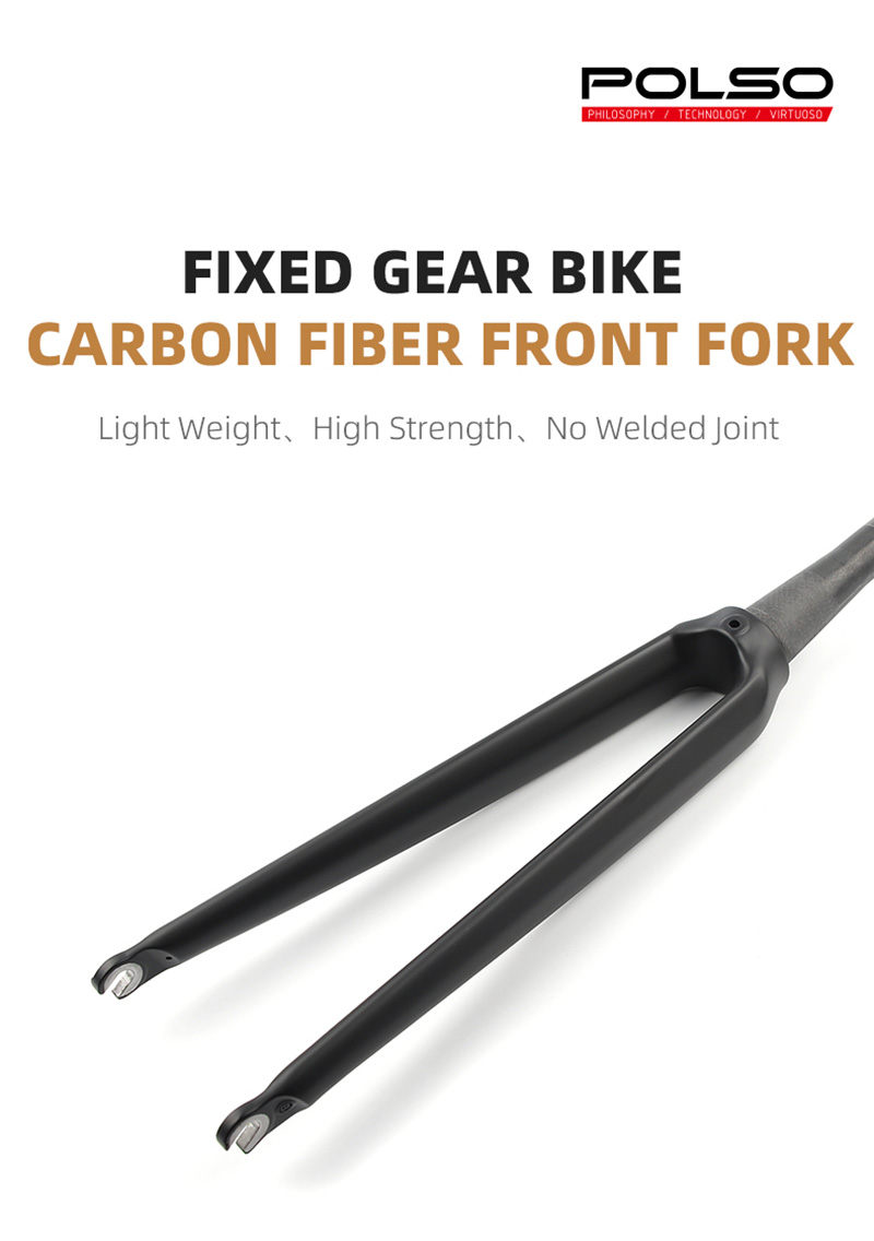 Bike Fork Carbon