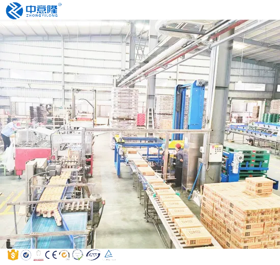 Factory Price Customized Hot Sell Automatic Gantry Rack Palletizer Machine for Packing Line