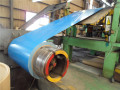 Prepainted Galvanized Steel Coil