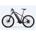 Customized Electric Bike For Men