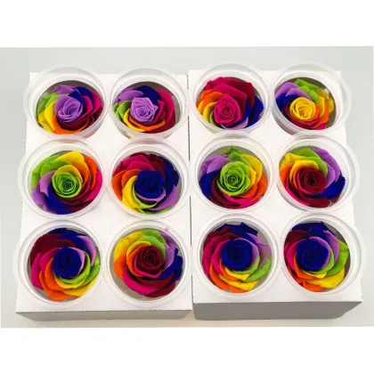 Beautiful Rose Flowers Stabilized Eternal Forever Preserved Roses