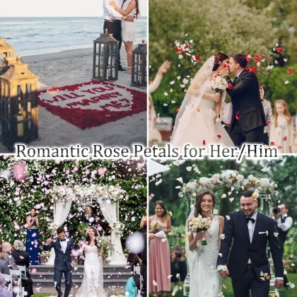 1000 Pieces Artificial Rose Petals: Non-Woven Fabrics Flower Petals for Wedding, Party, and Valentine's Day Decorations