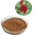 Lower blood pressure rhodiola rosea extract