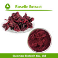 Roselle-extract / Hibiscus Sabdariffa-extractpoeder 10: 1