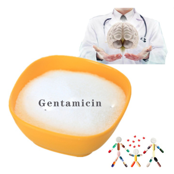 Buy oral solution CAS 123997-26 Gentamicin injection