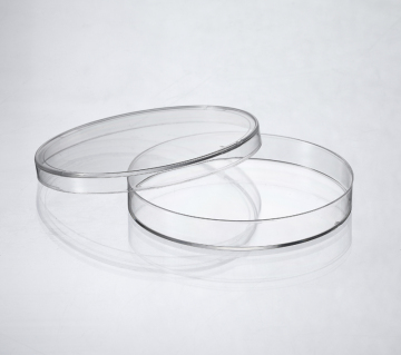 Plastik Petrischale 90 mm steril