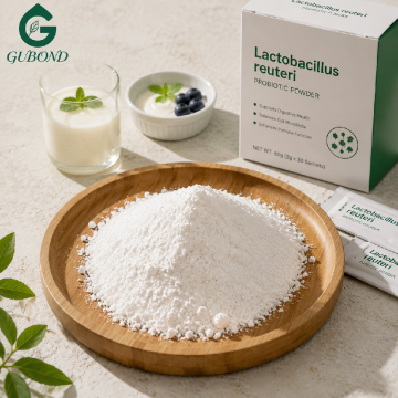 Lactobacillus Reuteri للمكملات الغذائية