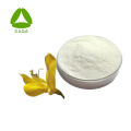 98% Zytisinpulver-Thermopsis-Lanzlanzolate-Extrakt 485-35-8