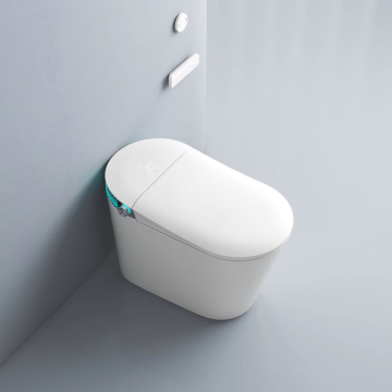European Bathroom Sensor Auto Flush Smart Toilet MJ-ST06 110V/220V