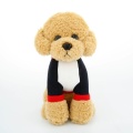 Toy de peluche con cuerda de peluche premium