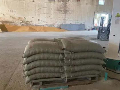 Robotic Automation for Efficient Carton Box Palletizing in Industries