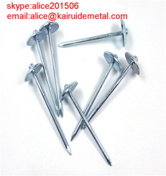 1-6 inch Galvanized Umbrella Roofing Nail