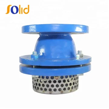 Ductile iron water pump flanged Foot Valve with strainer