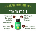 Dietary Supplement Men Tongkat Ali Root Capsule