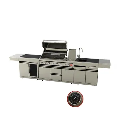 European Quality 304 Ss Barbecue Grill BBQ Gas Outdoor Cabinet