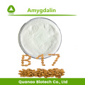 Anti-Cancer Bitter Almond Extract Amygdalin 98% Powder