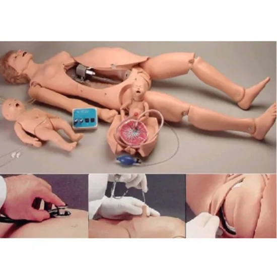 Childbirth Simulator Advanced Childbirth And First Aid Model