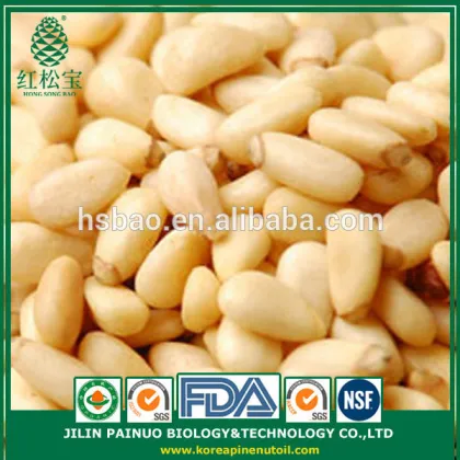 Promotion Constant Supply Wild Harvest Siberian Pine Nut Kernels