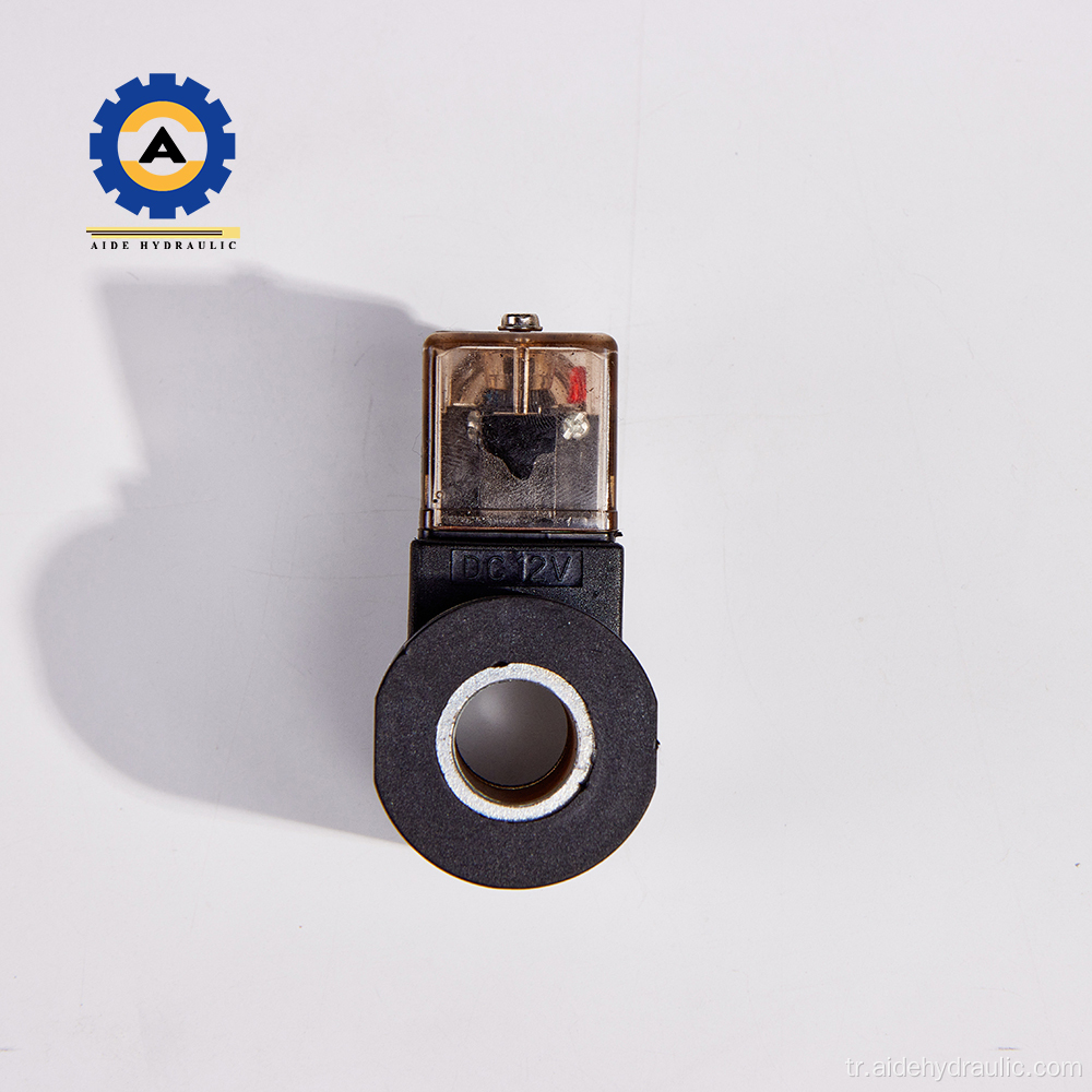 Solenoid valf ters bobini