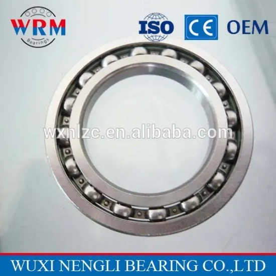 Hybrid Ceramic Bearing 16013 Single Row