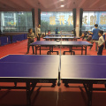 lantai pingpong dengan lapisan uv/gelanggang bola ping-pang