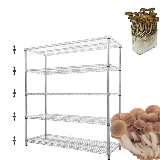 Metal Shelves for Commercial Mushroom Greenhouse Growing