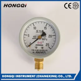 Common High Pressure Digital Pressure Gauge