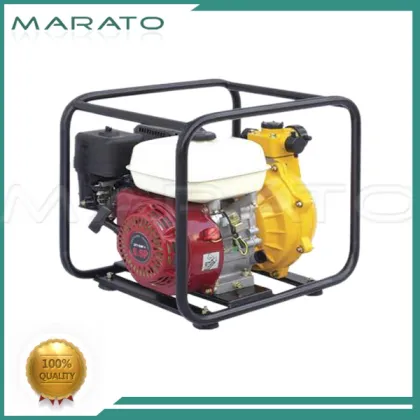 Top quality general high pressure gasoline water pump wp20