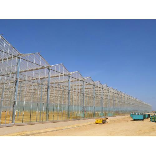 Aluminum Gutter Glass Greenhouse