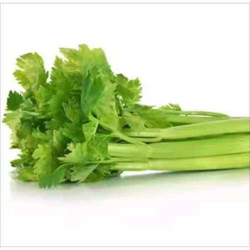 Vegetable Celery Extract Celery Powder