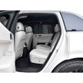 电力豪华SUV LI自动L6 Max