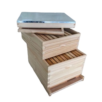 Chinese Langstroth Hive: 10 Frame Wooden Bee Hives for Bees and Beekeeping Equipment