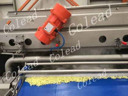 Bean sprout washing machine/vegetable processing machine