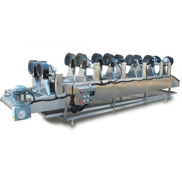 Citrus and Apple Cleaning, Sorting, and Air Drying Production Line Equipment