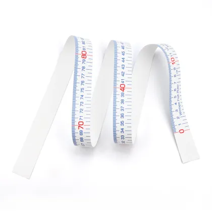 Fish Ruler Sticker Tape Measure