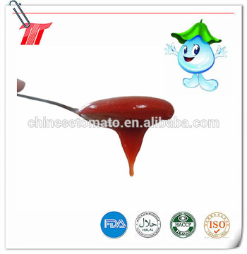 340g Ketchup with Plastic Bottle from Chinese Tomato Paste Factory