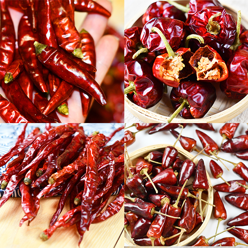 Segmentos de chile de círculo de corte rojo seco deshidratado