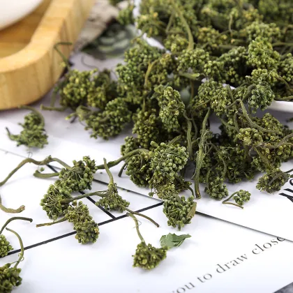 100% Pure Chinese Herbal Tea: Free Sample of Dried Ginseng Flower Tea (Sanchi Flower)