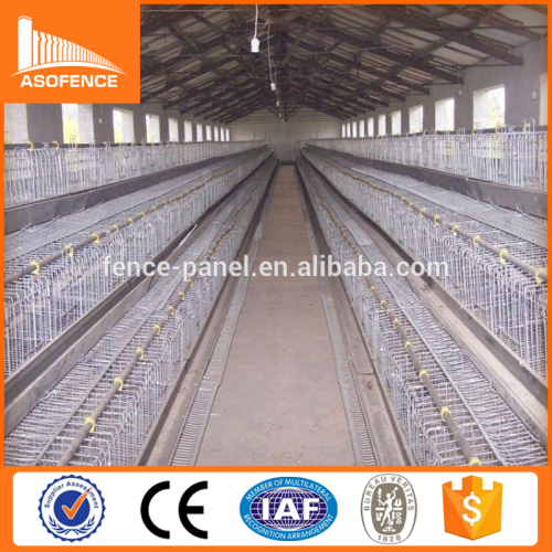 High quality designed chicken wire mesh cage, poultry house cleaning hatchery equipment battery cages