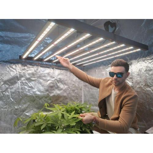Planta hidropónica Plegable Grow Light 640W