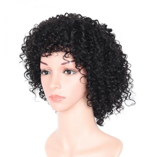 100% NATURAL VIRGIN REMY HUMAN HAIR  SHORT CURLY WIG
