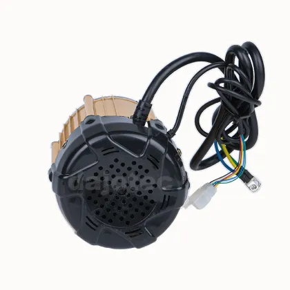 China Manufacture Controller for Motorized Bajaj TukTuk