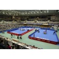 Suelo de PVC para tenis de mesa con ITTF