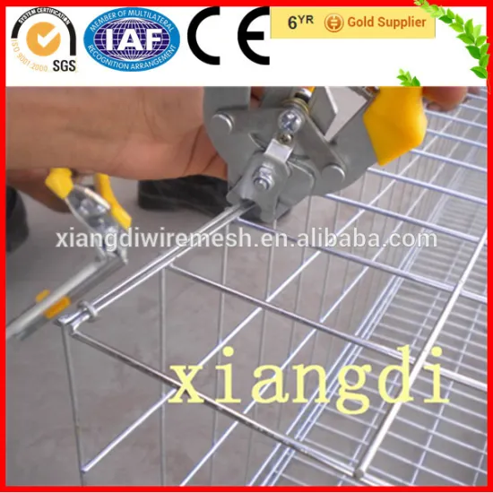 High Quality Galvanized Welded Chicken Cage Wire Mesh
