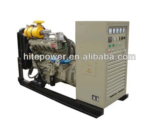 reliable chinese suppliers CE and ISO approved 80kw lpg generator set